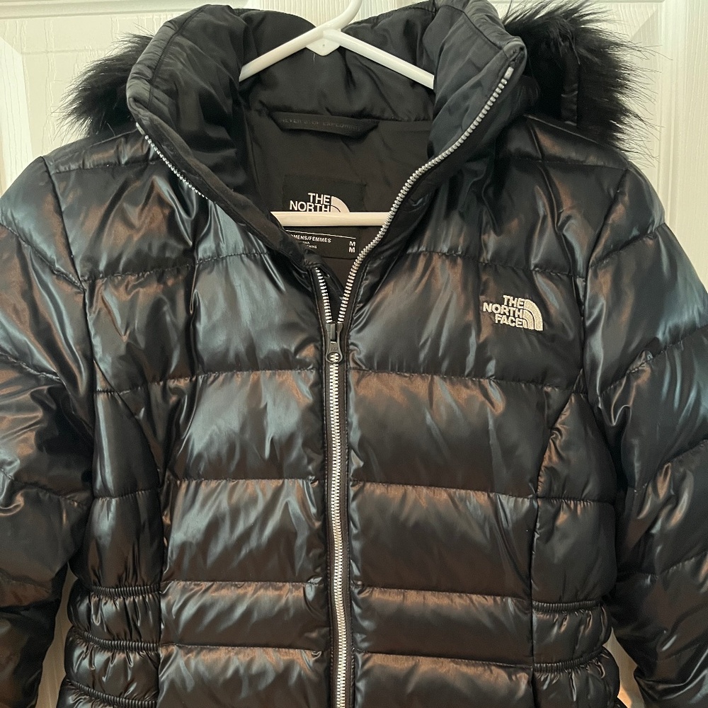The north face puffer jacket